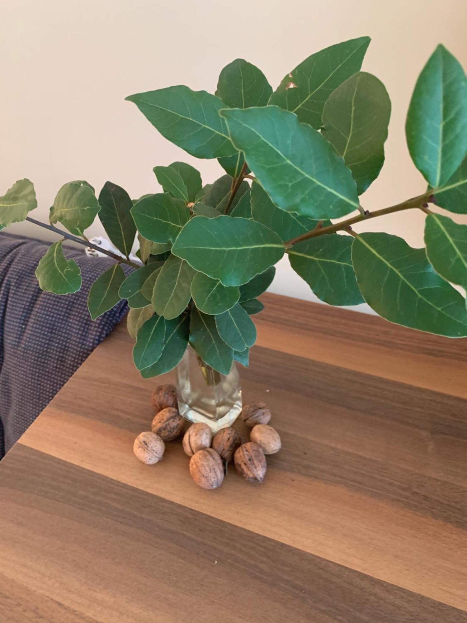 Villa Monte Boutique Apartments In ヘルツェグ・ノヴィ エクステリア 写真
