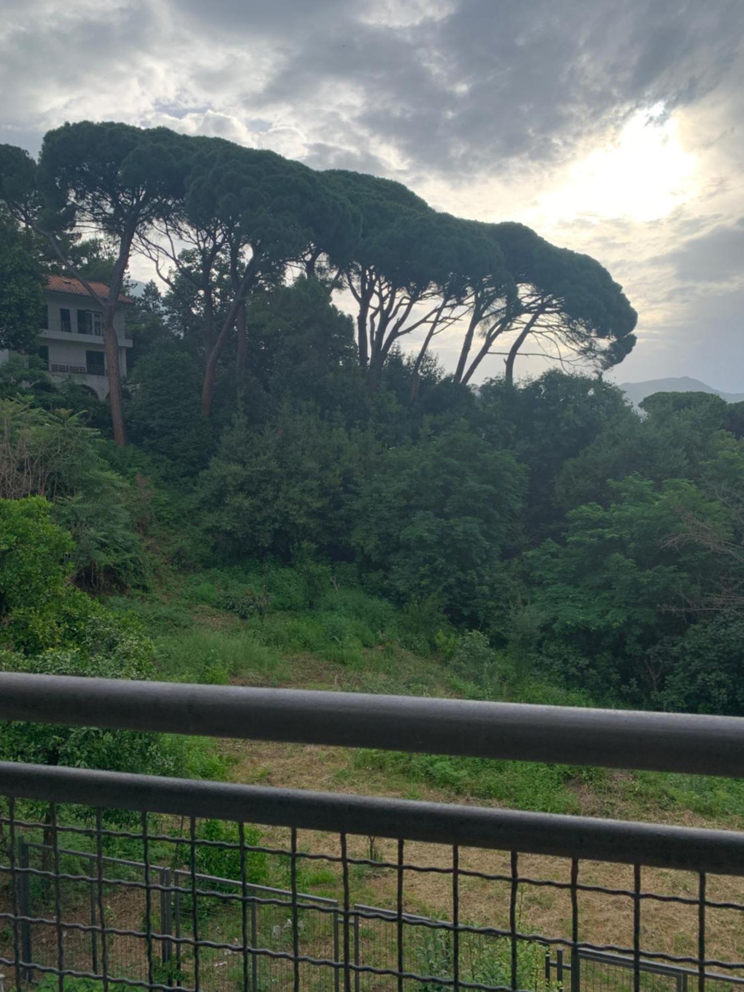 Villa Monte Boutique Apartments In ヘルツェグ・ノヴィ エクステリア 写真